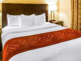Comfort East Route 66 And I-40 Hotel Gallup